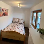 דירה Schwarzwaldnest Dachsberg *