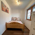 Schwarzwaldnest Dachsberg דירה