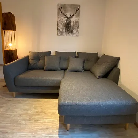 Appartamento Schwarzwaldnest Dachsberg Dachsberg im Schwarzwald