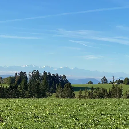 Lejlighed Schwarzwaldnest Dachsberg