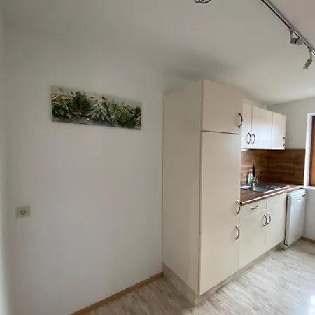 Lejlighed Schwarzwaldnest Dachsberg